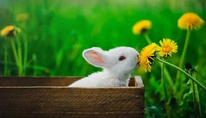 魏宏宇笔下疾风骤雨，创作速度令人惊叹